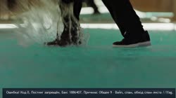 16723404780010.webm