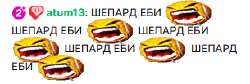 17653464005364.png