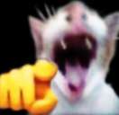 gagaga.png