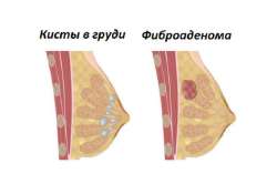 1747647530097.jpg