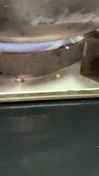 1747720805516.mp4