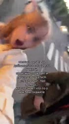 VID20250520100904894.mp4