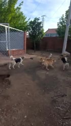 Входит в тред.mp4