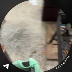 174774514210242335.mp4
