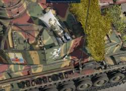 .jpg