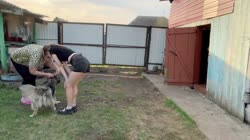 20250509BitterGleamingKiwiTinyFace-Y1fCvlkobuZ5v09rsource.mp4