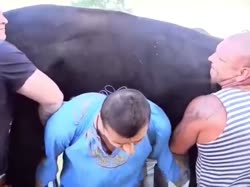 16367996486151.mp4