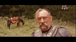 17214413926910.mp4