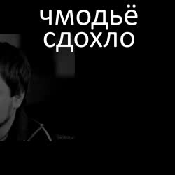 16989287491310.mp4