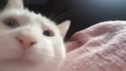 oronyaJAM.mp4