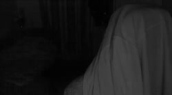 2025-05-21 - Test. - Спит на полу.webm