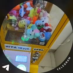 1748183442938.mp4