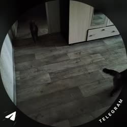 1748625274650.mp4