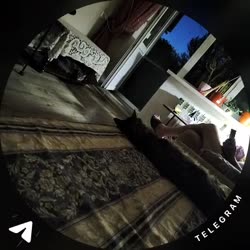1748628695032.mp4
