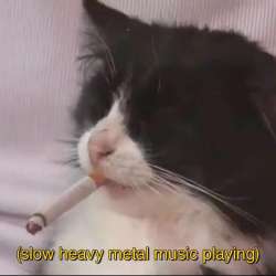 GnsrJp8bkAE1YN.jpg