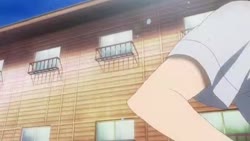 17247400689310.webm