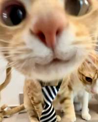 5040cc68-bb13-440a-9a75-8c5d33edbca3.jpeg