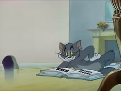 17230683588570.mp4