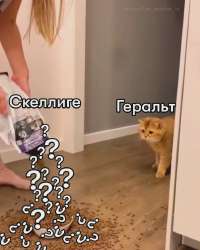 1747913110186.webp