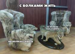 IMG20250315031920666.jpg