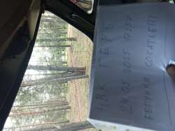IMG20250524174642.jpg