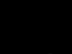 17208521415710.mp4