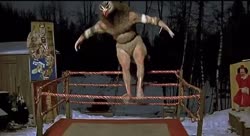 video2025-01-1311-11-58.mp4
