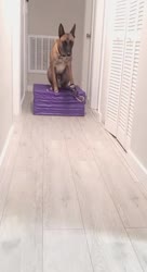 1605858174047.MP4