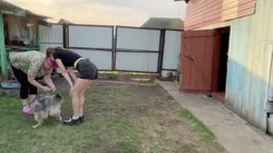 17479382662230.mp4