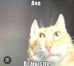Screenshot20250113114337Firefox.jpg