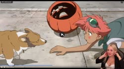 17385152952700.mp4