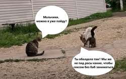 муся.png