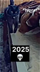1745076571266464.mp4