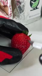 17478376760820.mp4