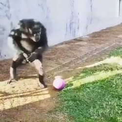 1741848718695.webm