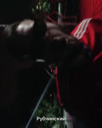 15308171747540.mp4