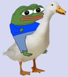 1783926383.png
