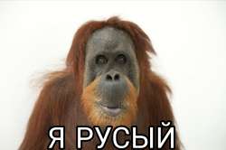 1748173956539.png