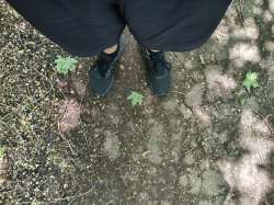 1748159771764.jpg