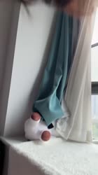 1748166495900.mp4