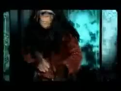 25303133451950520741.mp4