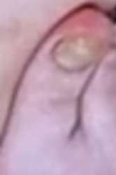 1700645741864.jpg