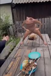 1748210499913.mp4