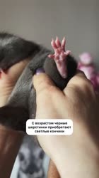 17482475221740.mp4
