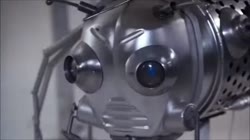 Cobra.webm