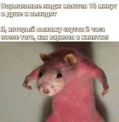 1748374269534.jpg