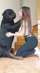 4.webm