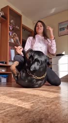 1.webm