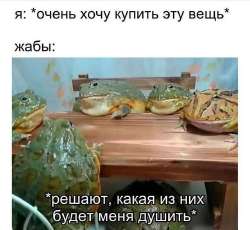 1748440829570.jpg
