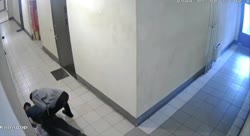 Типичный Питер.mp4